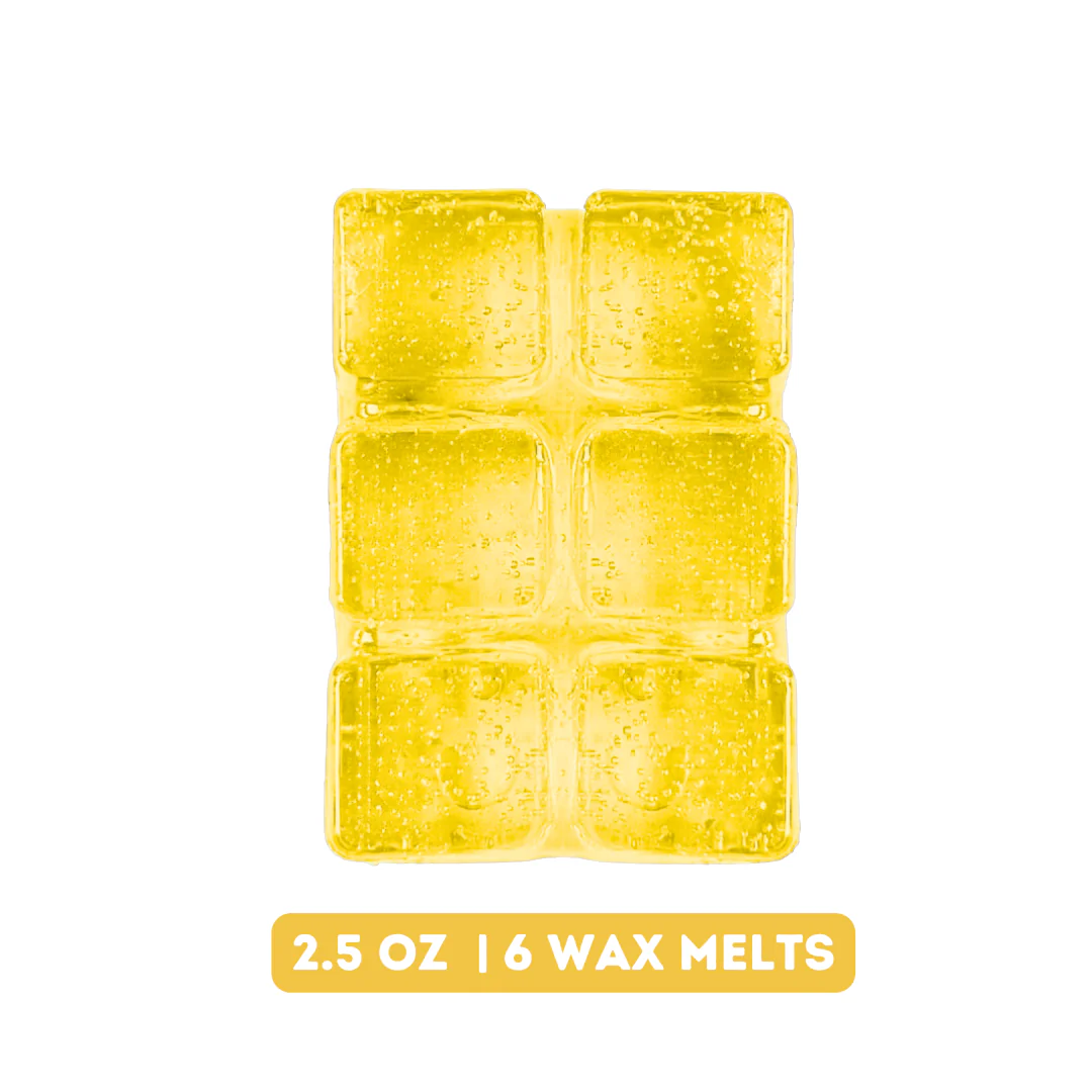 Fall Festival Gel Wax Melts - Image 3