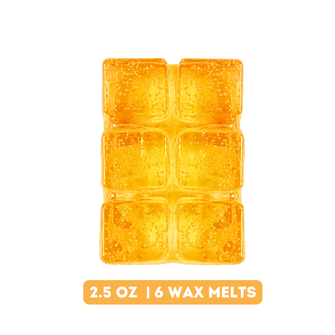 Pumpkin Cider Gel Wax Melts - Image 3